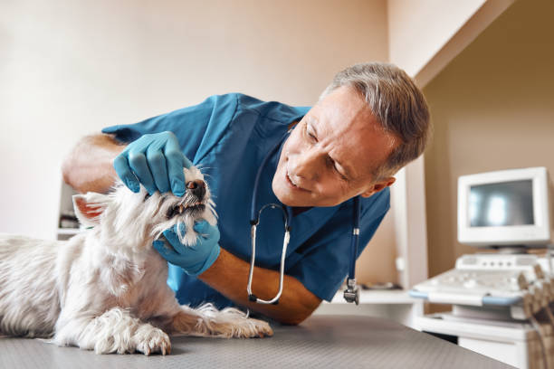 Best Same-Day Emergency Appointments in Manassas Park, VA